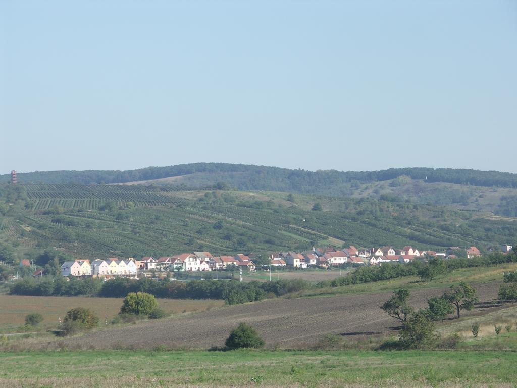 Hotel Kravi Hora Bořetice 객실 사진